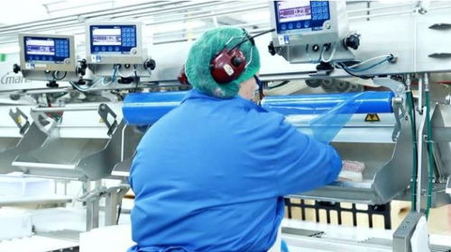 全程自動化白魚切割拔刺,未來加工廠還需要工人嗎