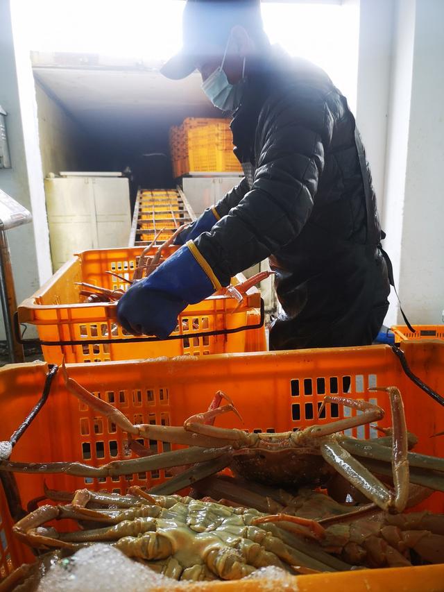 新春走基層丨“蟹”逅琿春