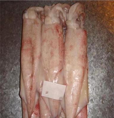 中港 水產品 中國紅魷魚 冷凍粗加工水產品