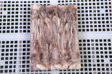 冷凍魷魚