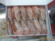 長興_冷凍粗加工水產品_長興批發_長興供應_阿里巴巴