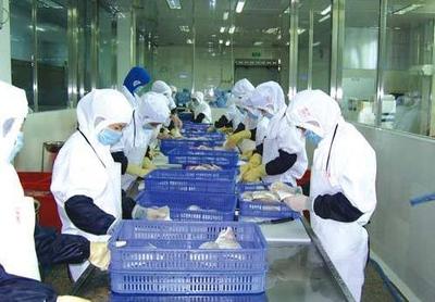 要人均漁業增收近10%,少了配套冷庫冷鏈可不行