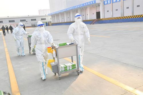 鄭州進口冷鏈食品集中監管倉正式啟用