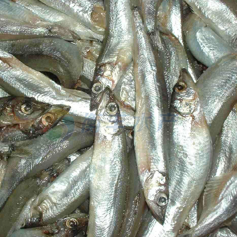 【圖】挪威生凍多春魚 風干生凍多春魚 冰凍海鮮_冷凍粗加工水產品_列