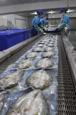 珠海海鱸魚企業,推進白蕉海鱸價格的新方向