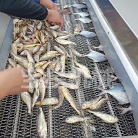 價(jià)格 廠家 中國供應(yīng)商