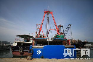 走進(jìn)廣東漁業(yè)生產(chǎn)基地 閘坡國家中心漁港