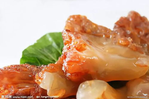 遼寧禮物丨我們向您推薦 營口市農(nóng)業(yè)博覽會(huì) 優(yōu)質(zhì)產(chǎn)品 獎(jiǎng),蓋州市德輝水產(chǎn)品加工廠生產(chǎn)的 瀅輝 牌海蜇