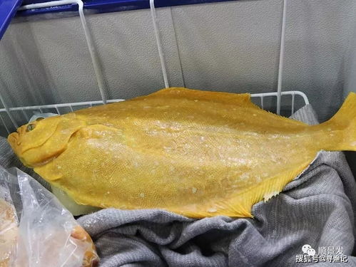 尋漁記丨積極參加2019年中國國際漁業(yè)博覽會(huì)