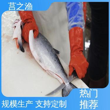 鮭魚多少錢一斤市場價(jià)格