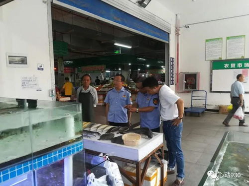 凱里市全面排查冷凍水產品,守住食品安全底線