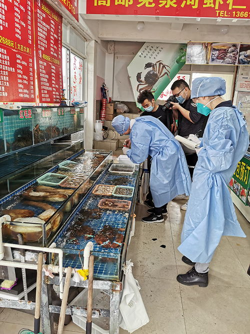 上海6月起對重點生鮮食品采樣,已完成核酸檢測樣品均為陰性