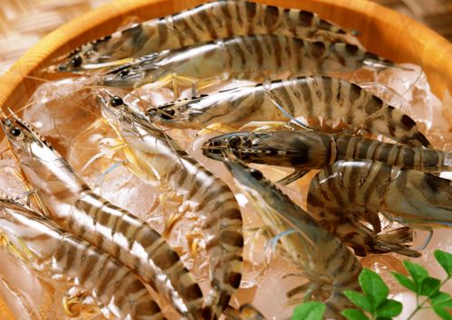 購買 加工冷鏈食品時應注意什么 專家回答