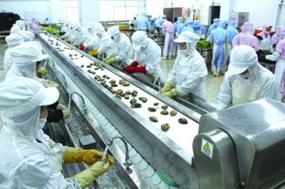 福建寧德檢驗檢疫局幫扶霞浦臺灣水產品集散中心擴大出口