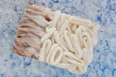 冷凍魷魚圈魷魚頭