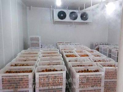 果蔬保鮮冷藏酒店冷庫(kù)設(shè)計(jì)建設(shè)水產(chǎn)海鮮冷凍庫(kù)牛羊肉制品速凍庫(kù)