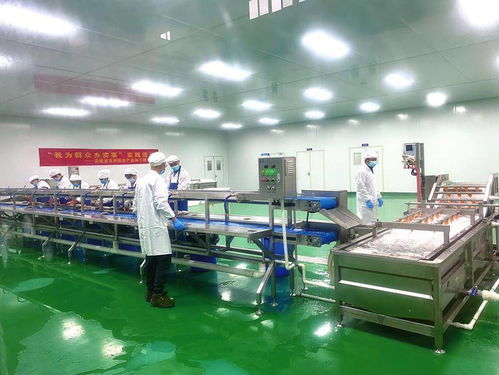 綠色發(fā)展讓 池州味道 香飄四方