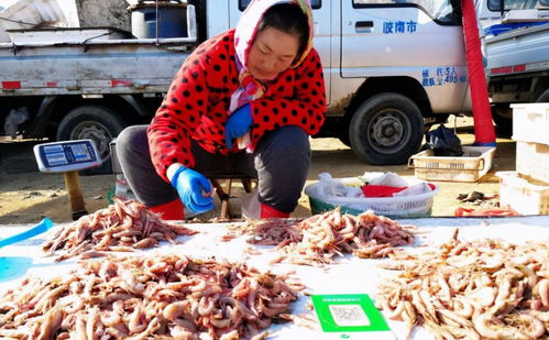阜陽疫情又和冷凍海鮮有關 進口的冷凍產品現在還能安全食用嗎