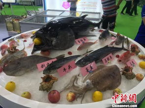 第五屆漁博會(huì)廣州舉行 海內(nèi)外上千種海產(chǎn)品亮相