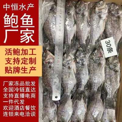 尼羅羅非魚產(chǎn)地在哪?尼羅羅非魚和羅非魚有什么區(qū)別?