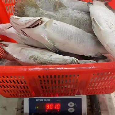 濱州市帆海水產品