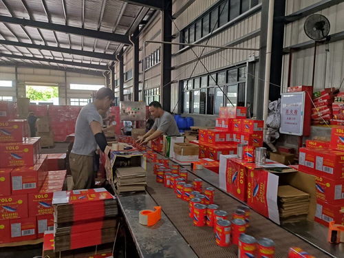 開漁過后水產(chǎn)品加工企業(yè)生產(chǎn)忙