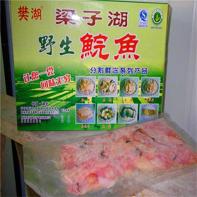 野生鯇魚分割魚冰凍系列_冷凍粗加工水產品批發