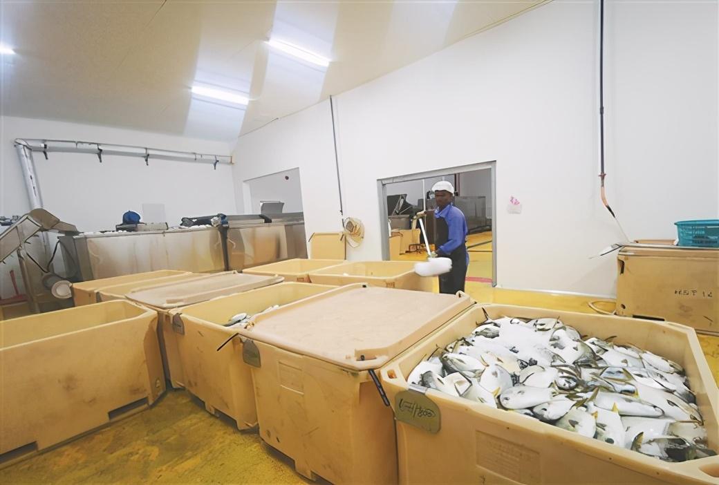 廣西海世通文萊漁業基地冷凍加工廠.