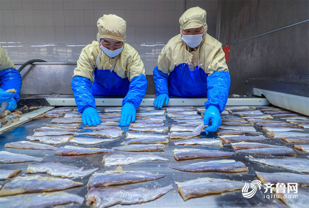 山東榮成:水產(chǎn)品出口加工忙_威海要聞_威海_齊魯網(wǎng)