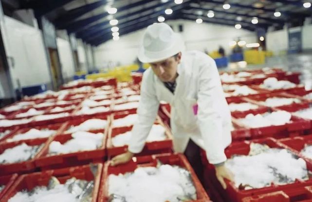 全球首次!青島冷凍海鮮外包裝分離出新冠活病毒,一大謎團得到實證!