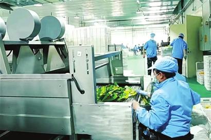 做足 糧頭食尾 農(nóng)頭工尾 大文章