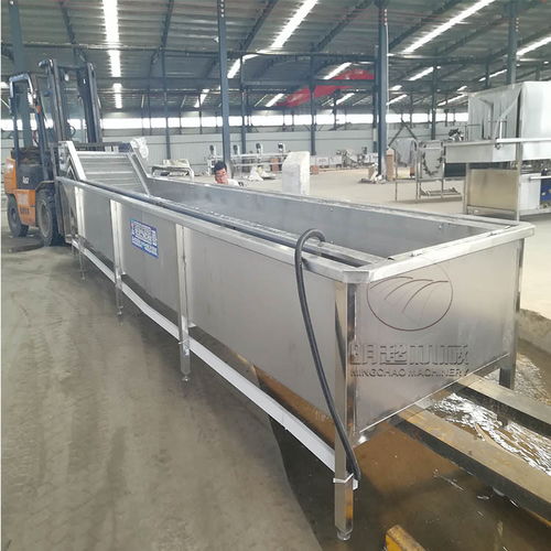 諸城明超速凍黃花菜加工機(jī)器設(shè)備 蔬菜清洗機(jī)