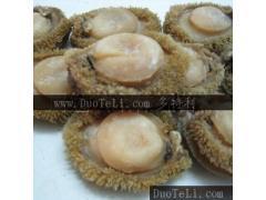 批發南非干鮑 頂級南非干鮑魚 批發價銷售 15頭/每500克_冷凍粗加工水產品批發_冷凍粗加工水產品工廠直銷_廠家批發冷凍粗加工水產品_多特利