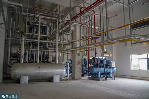 打造粵東冷鏈市場方向標 濠江這些項目有的已試產經營