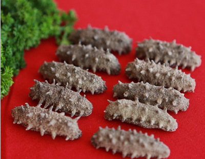 冷凍粗加工水產品-批發 海參禮品 優質淡干海參 年貨禮品 -冷凍粗加工水產品盡在.