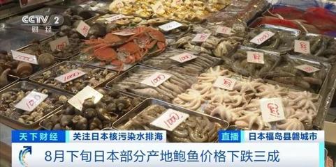 日本水產品市場遭遇寒冬 價格暴跌、訂單銳減，產業轉型與求生之路