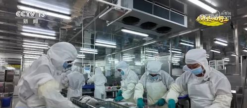 希望的田野滿滿科技范 智慧農業繪就千里沃野好豐景