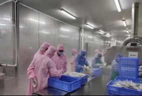 預制菜熱潮興起 恒興與國聯水產產品獲廣東官方推薦