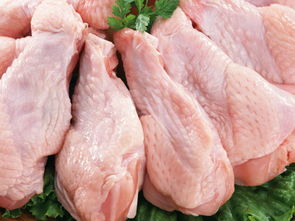 靠譜鮮肉供應(yīng)商推薦 利源農(nóng)副產(chǎn)品配送