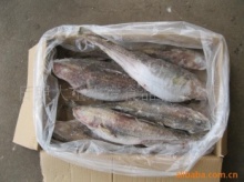 日照冷凍粗加工水產(chǎn)品與冷凍肉批發(fā)綜合解析