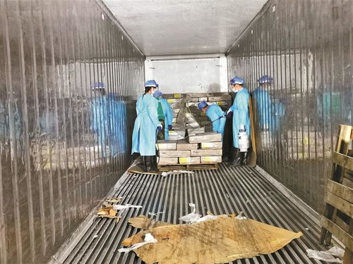 深圳嚴(yán)格監(jiān)管進(jìn)口凍品 每批次均需抽樣核酸檢測(cè)