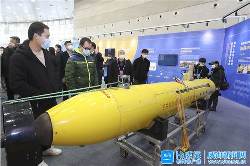 威海海洋產(chǎn)業(yè)裝上創(chuàng)新引擎 冷凍肉批發(fā)新篇章