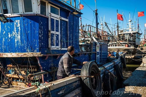 昌邑下營(yíng)港冷凍肉批發(fā)市場(chǎng)概述與優(yōu)勢(shì)