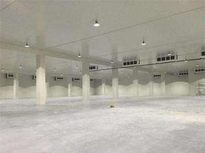 降低冷凍肉批發(fā)冷庫(kù)運(yùn)營(yíng)成本的有效策略