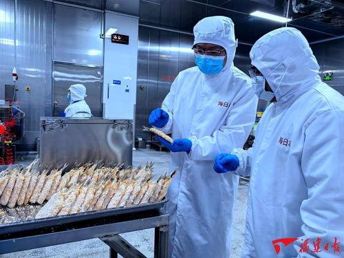 泉州 海絲潮涌奮楫篤行，冷凍肉批發(fā)蓄勢(shì)發(fā)展