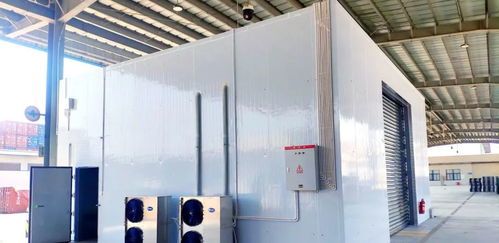 廣澳港區(qū)冷鏈查驗(yàn)場(chǎng)地建成投用，助力水產(chǎn)品冷凍加工與直接進(jìn)口升級(jí)