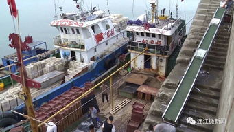 苔菉國(guó)家中心漁港最新進(jìn)展與冷凍加工業(yè)務(wù)發(fā)展